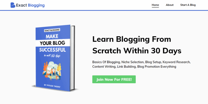 website examples exact blogging
